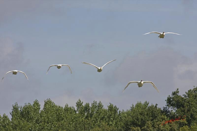 Cjp_2008_07_17_104305 (2).jpg